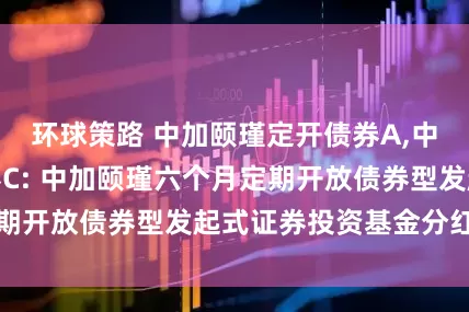环球策路 中加颐瑾定开债券A,中加颐瑾定开债券C: 中加颐瑾六个月定期开放债券型发起式证券投资基金分红公告
