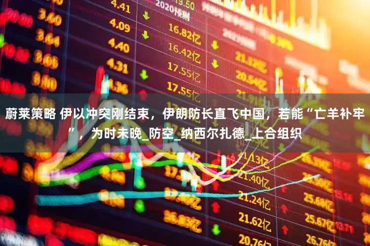 蔚莱策略 伊以冲突刚结束，伊朗防长直飞中国，若能“亡羊补牢”，为时未晚_防空_纳西尔扎德_上合组织