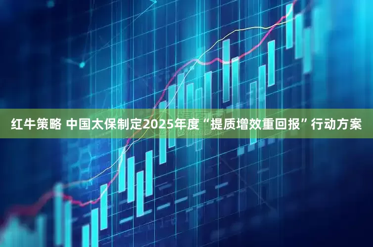 红牛策略 中国太保制定2025年度“提质增效重回报”行动方案