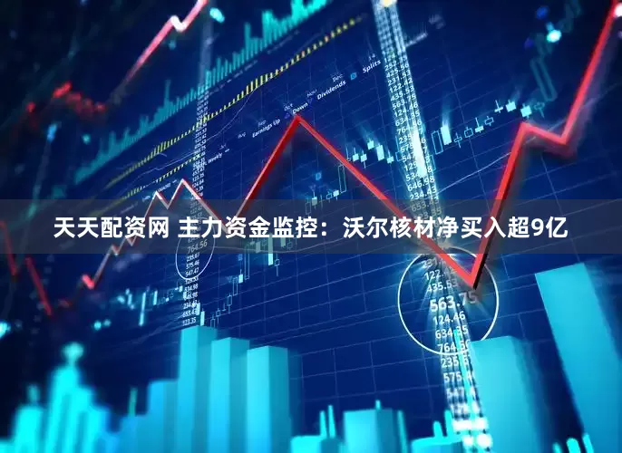 天天配资网 主力资金监控：沃尔核材净买入超9亿