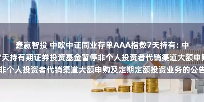 鑫赢智投 中欧中证同业存单AAA指数7天持有: 中欧中证同业存单AAA指数7天持有期证券投资基金暂停非个人投资者代销渠道大额申购及定期定额投资业务的公告